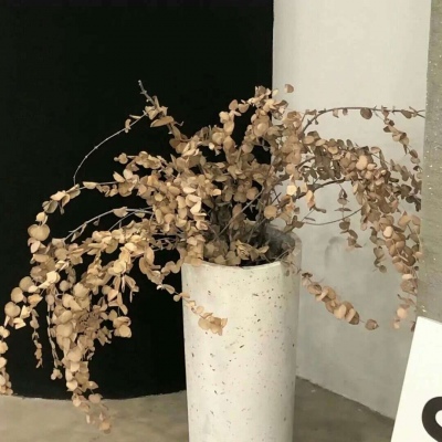 昭苏福瑞交流群